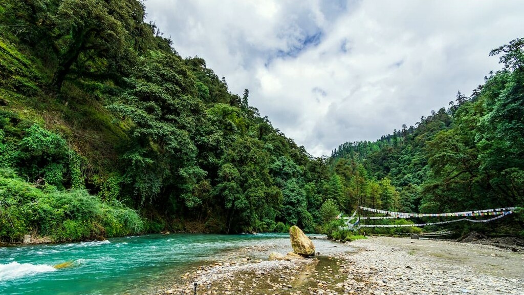 Jigme dorji national park mpkvn