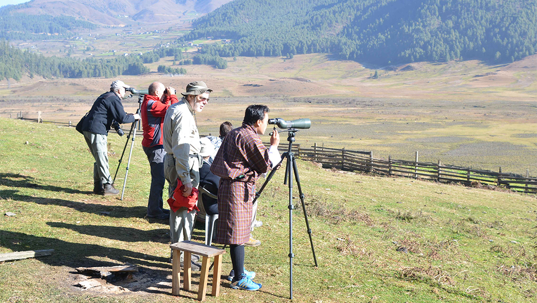 Bird watching paradise in bhutan Amen bhutan treks and Tours