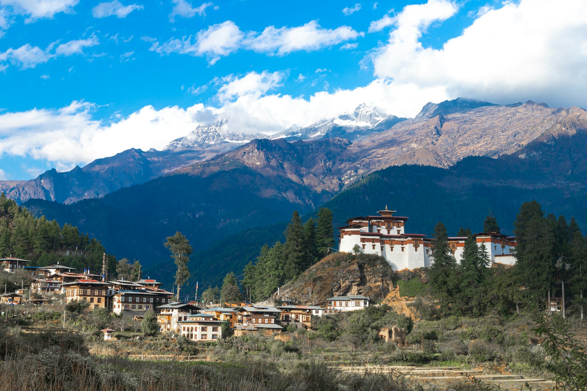 Ugyen Tenzin OkvqWRR0jhc Unsplash (2) 0