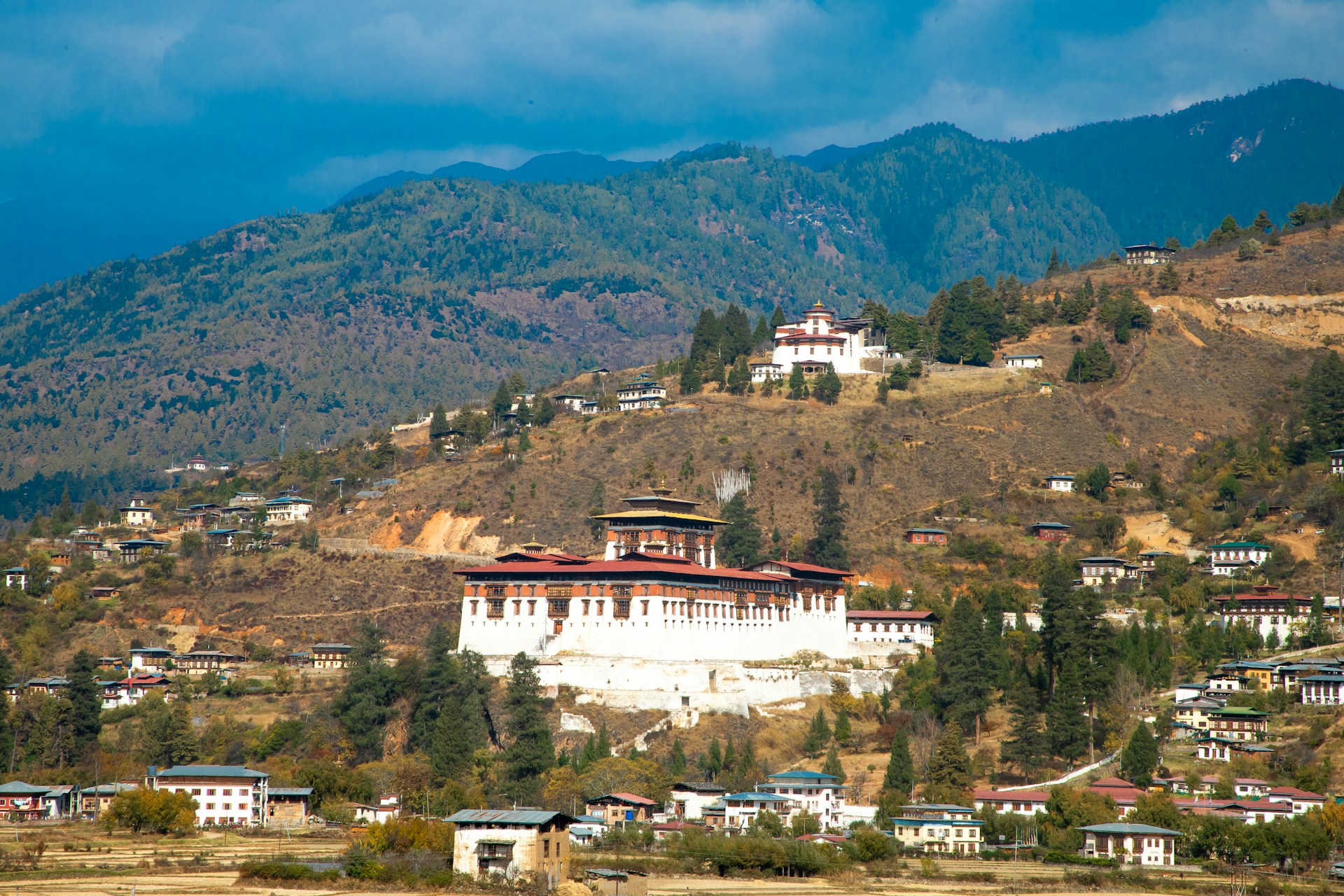 Ugyen Tenzin XdSM1KUimyY Unsplash