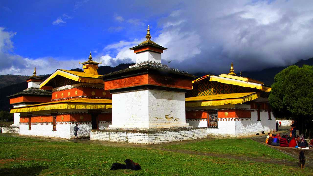 Vadbadf