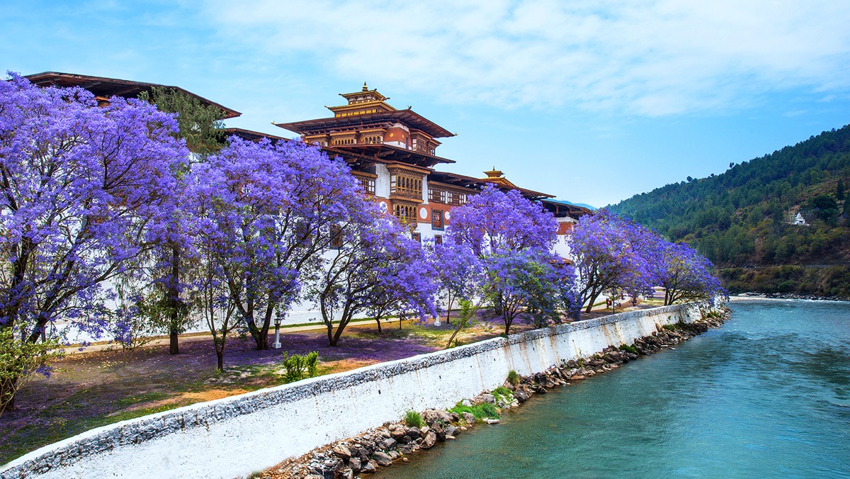Best Time to Visit Bhutan 1