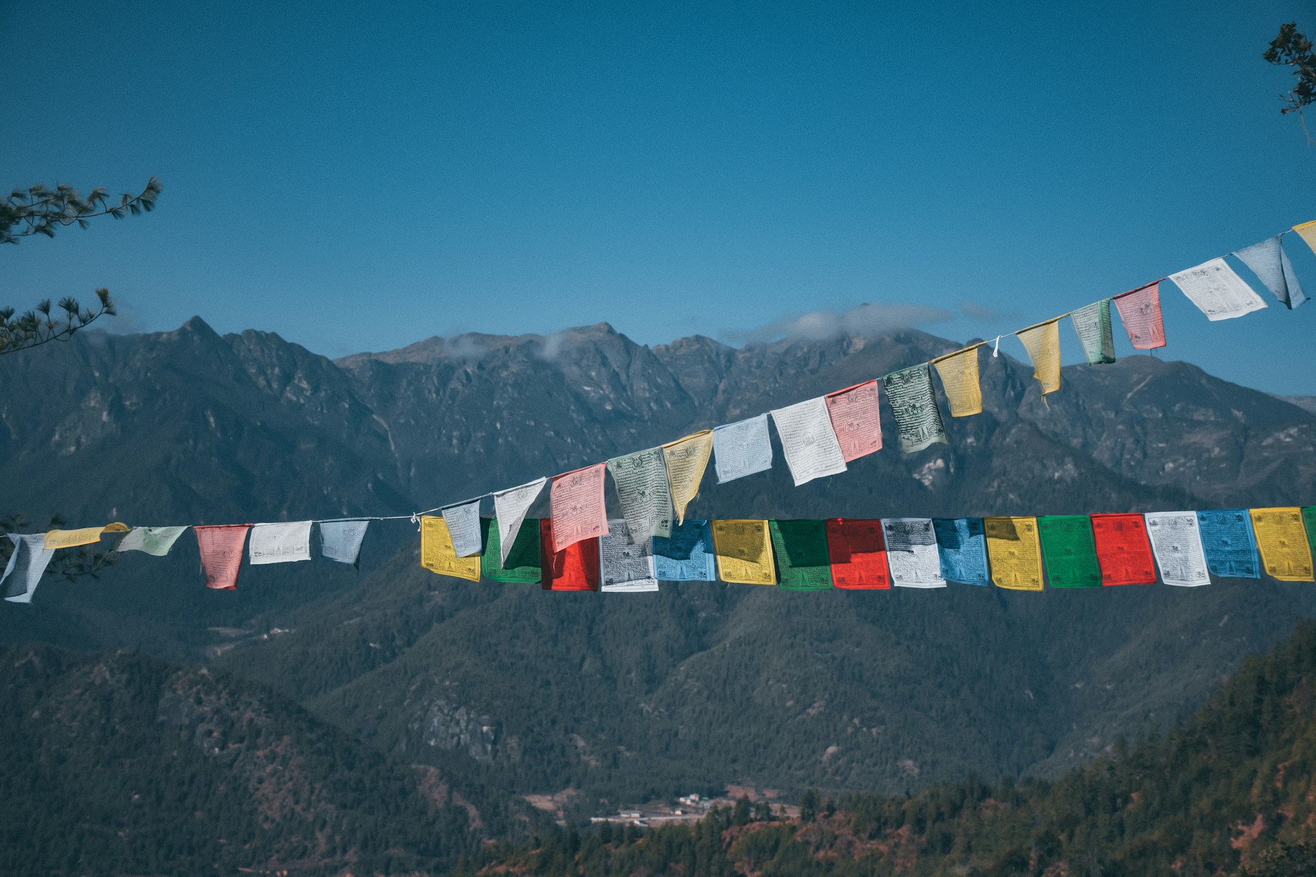 Darpan FbVAJN4AZgg Unsplash