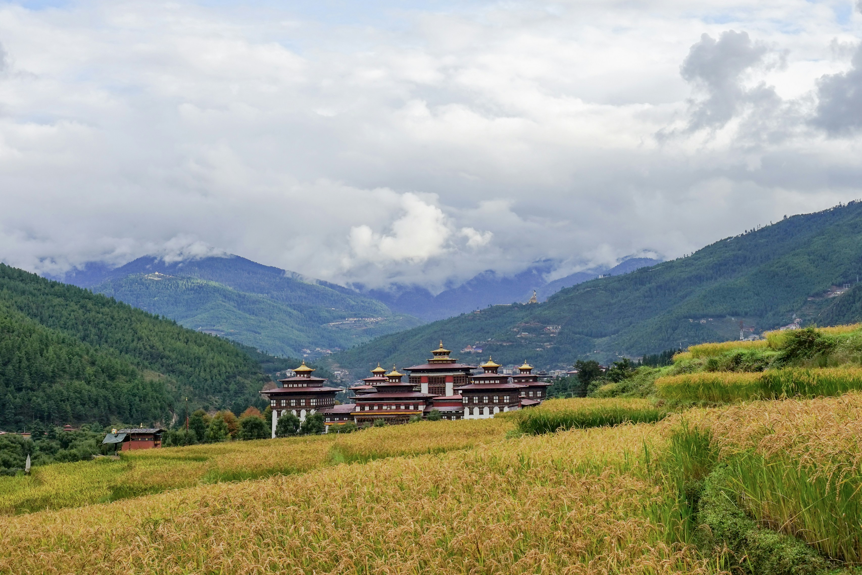 Pema Gyamtsho QkbIxJhALtk Unsplash