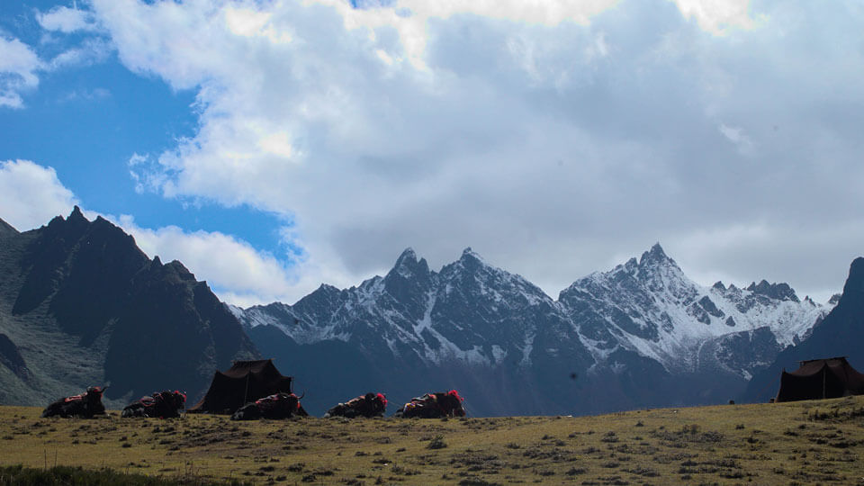 Laya Gasa Trek b jvs
