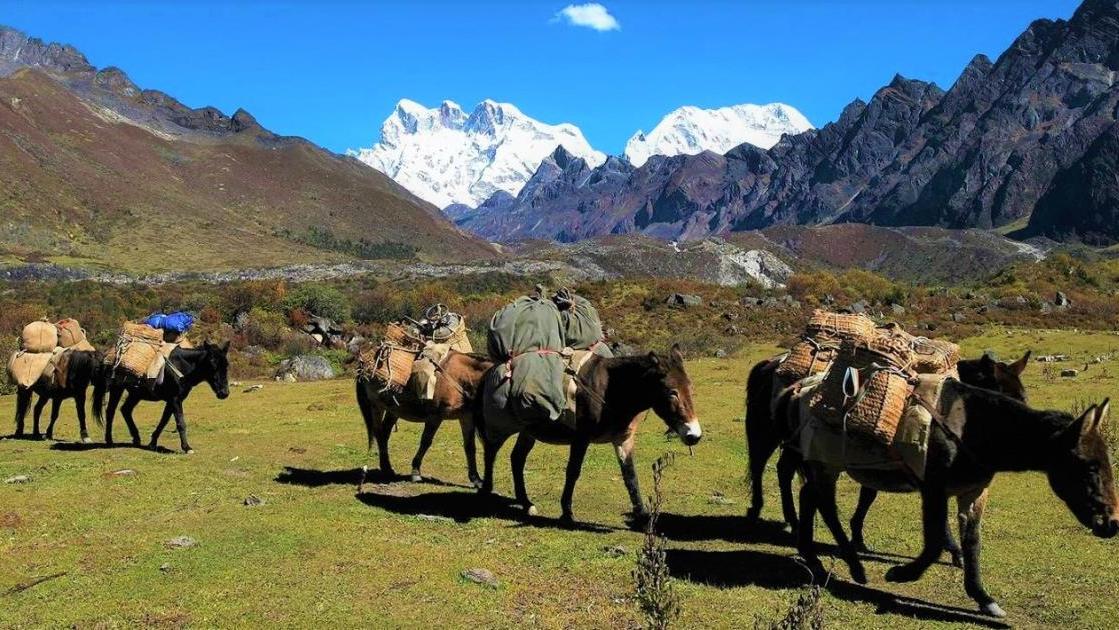 Autumn Trekking in Bhutan nrufda