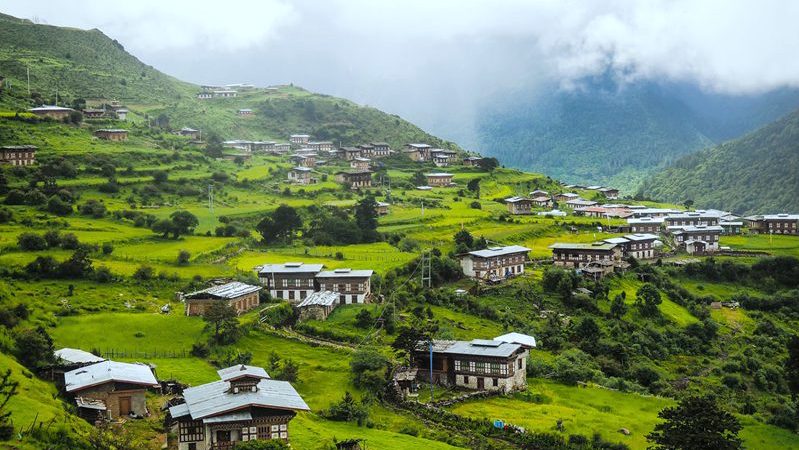 Laya Gasa Trek 0