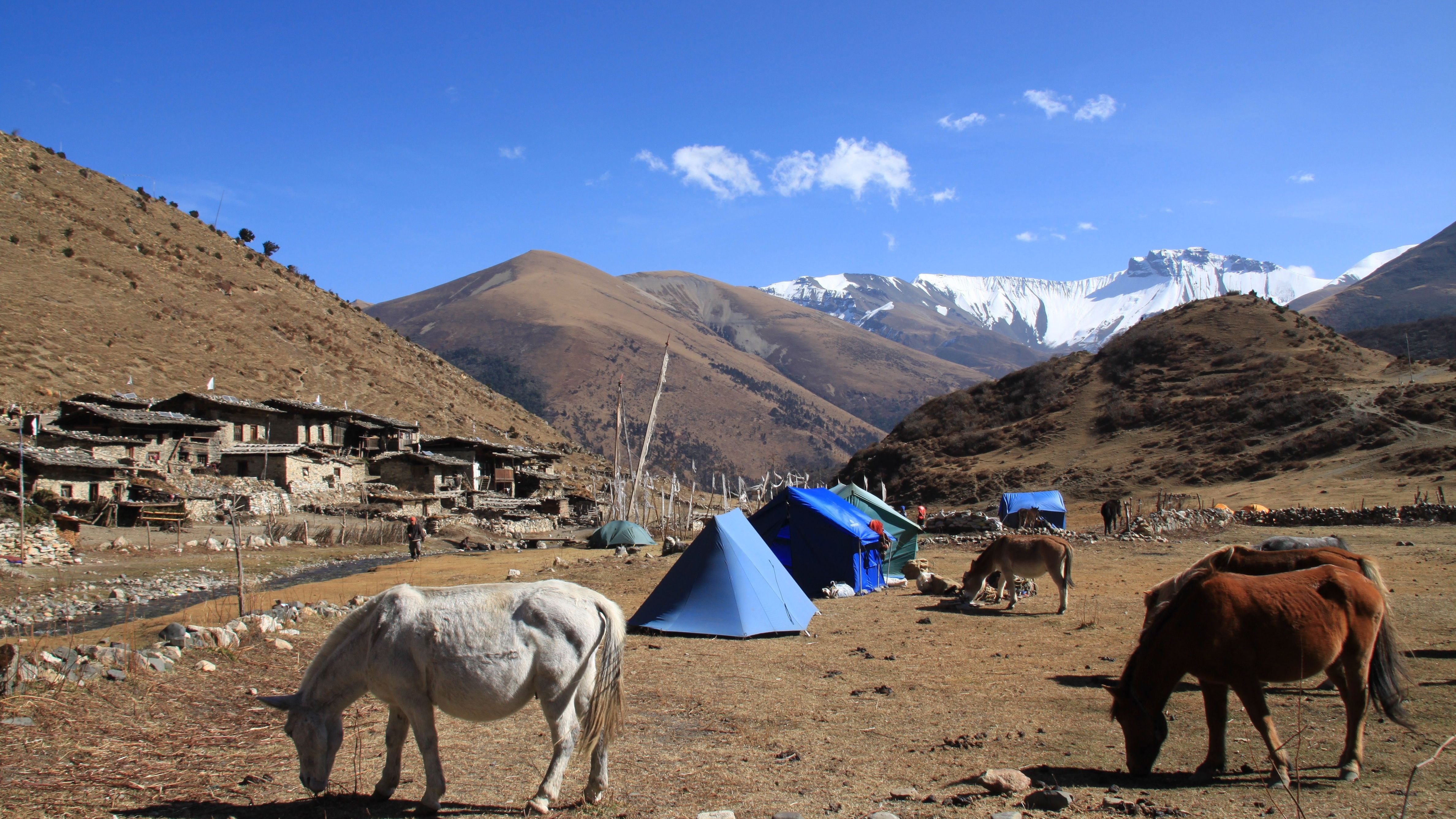Laya Gasa Trek f hdf h