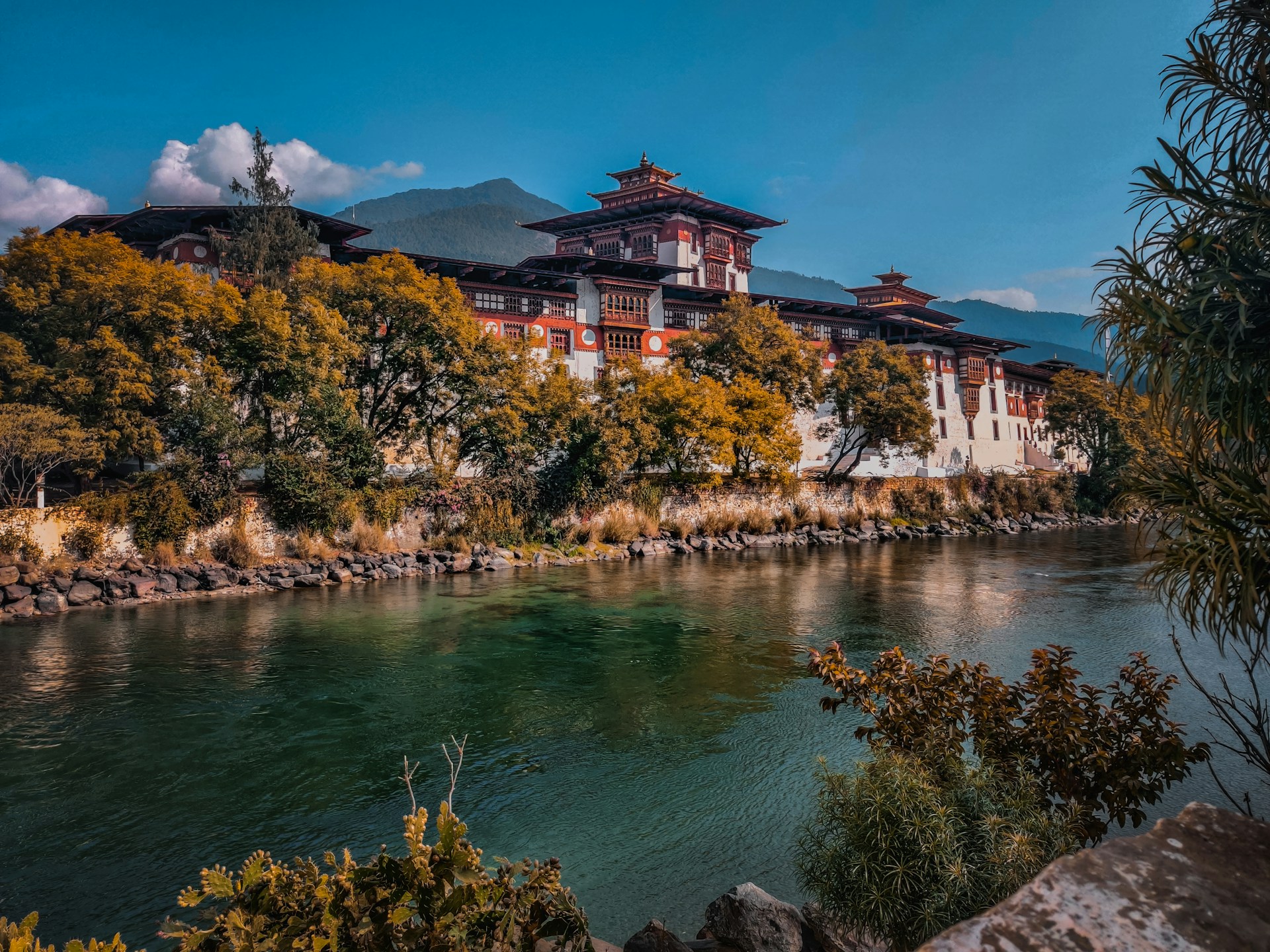 Arghya Mondal qKdtPdVKBY Unsplash
