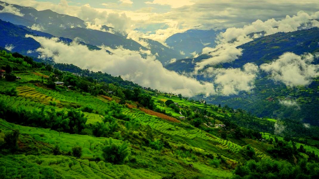 Merak Sakteng Trek vvsvj