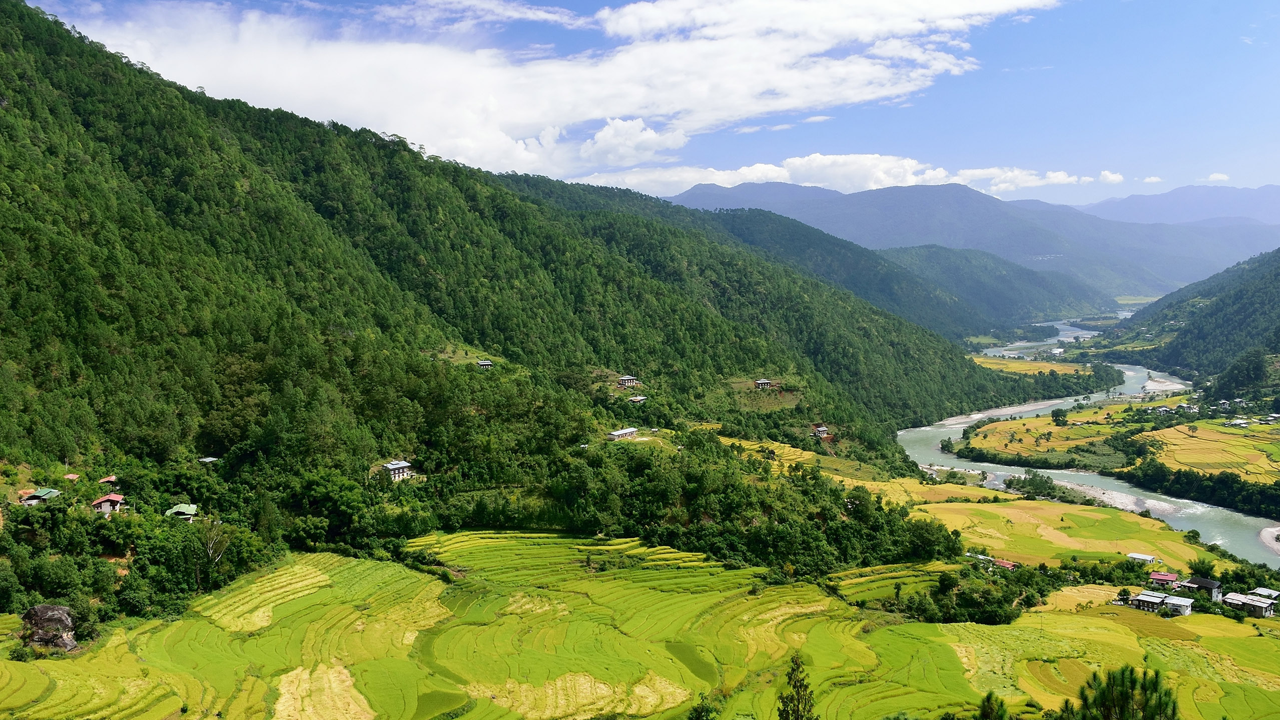 Punakha Valley 0