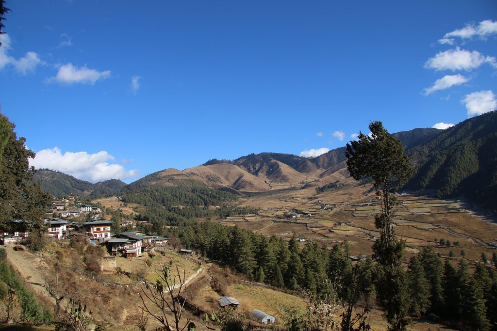 Cultural trekking