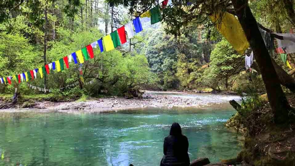 Jigme Dorji National Park 2  sdviosvj