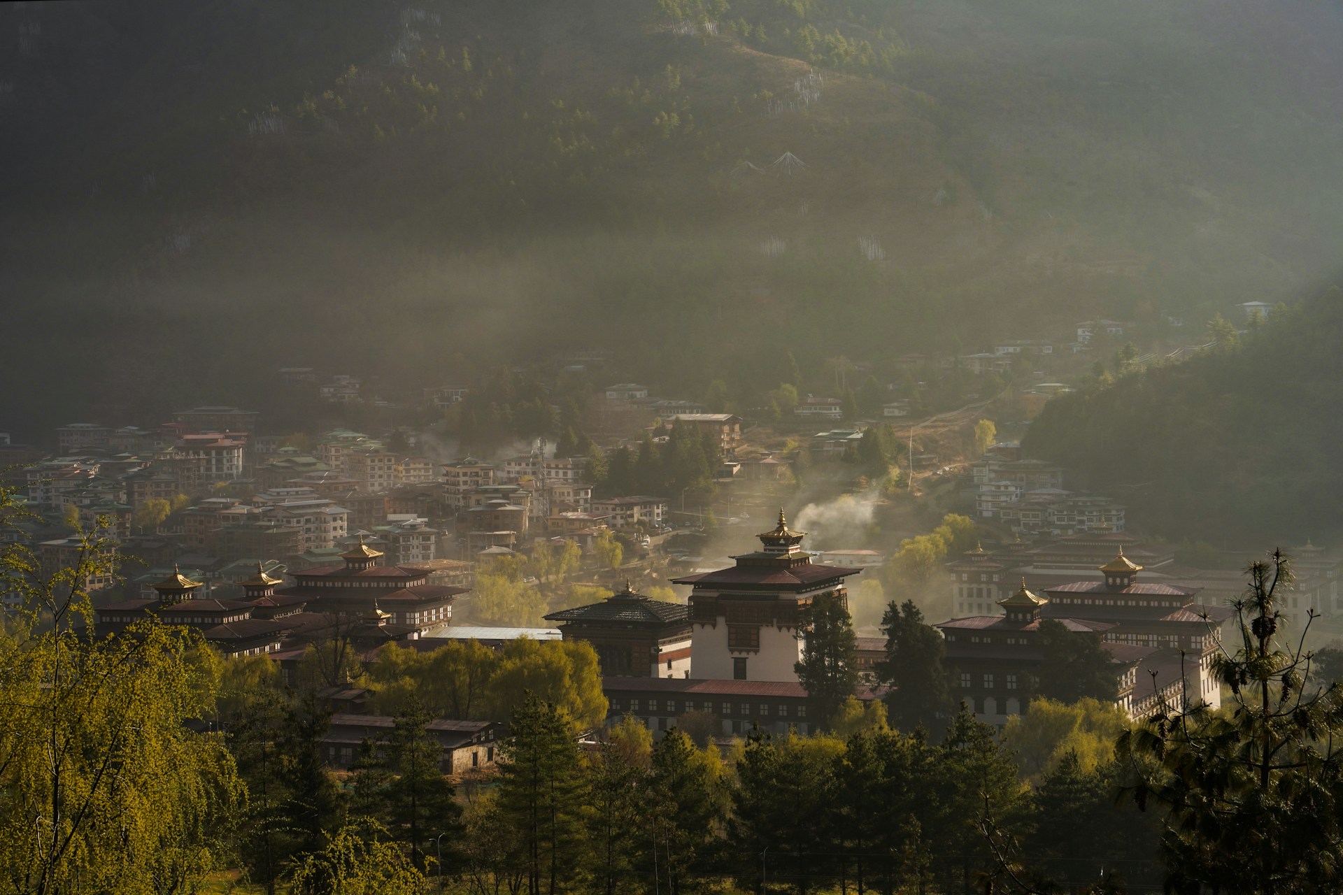 Pema Gyamtsho UYMLMbDNZWk Unsplash