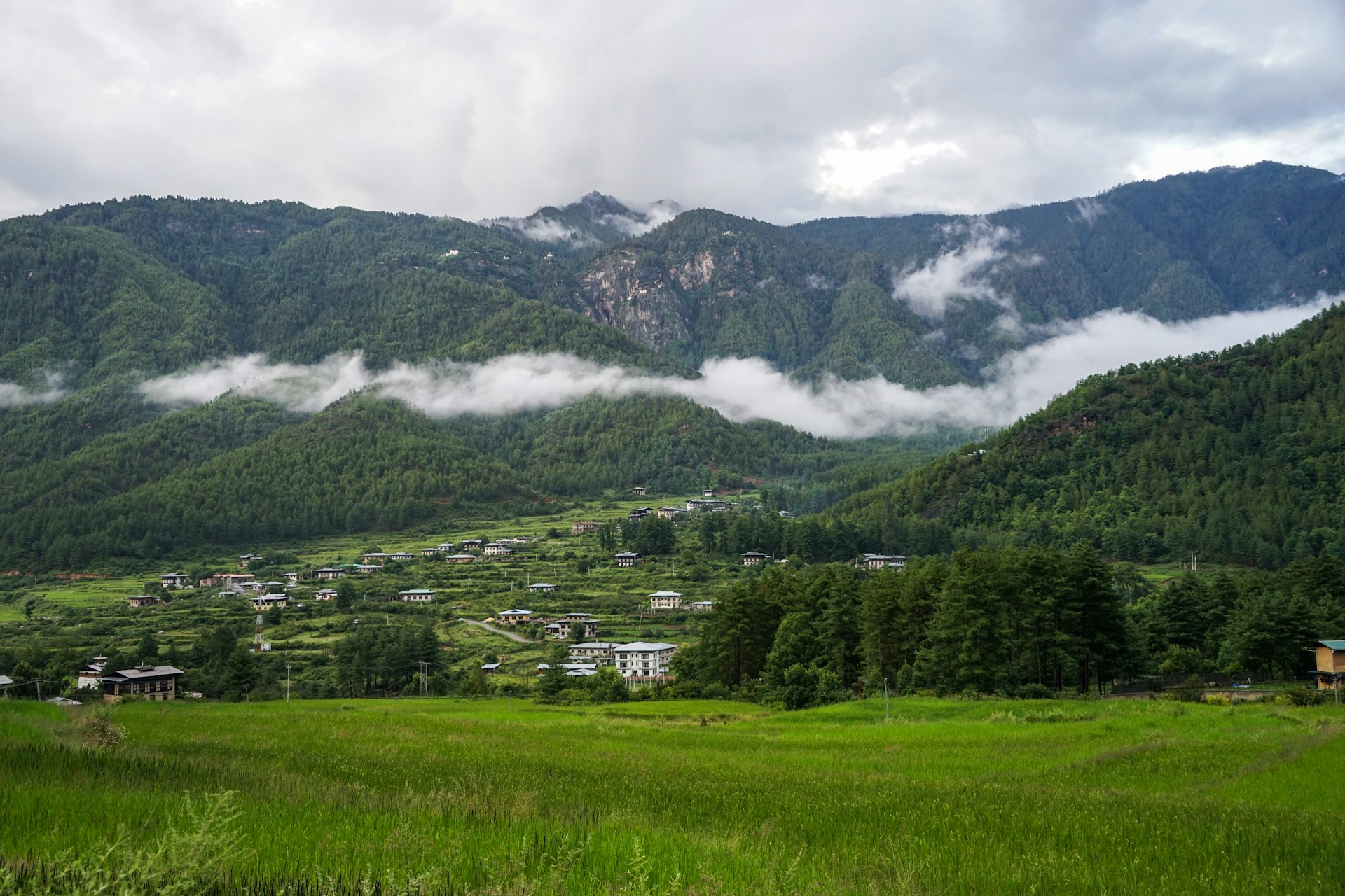 Pema Gyamtsho BzcyHR6DfcY Unsplash