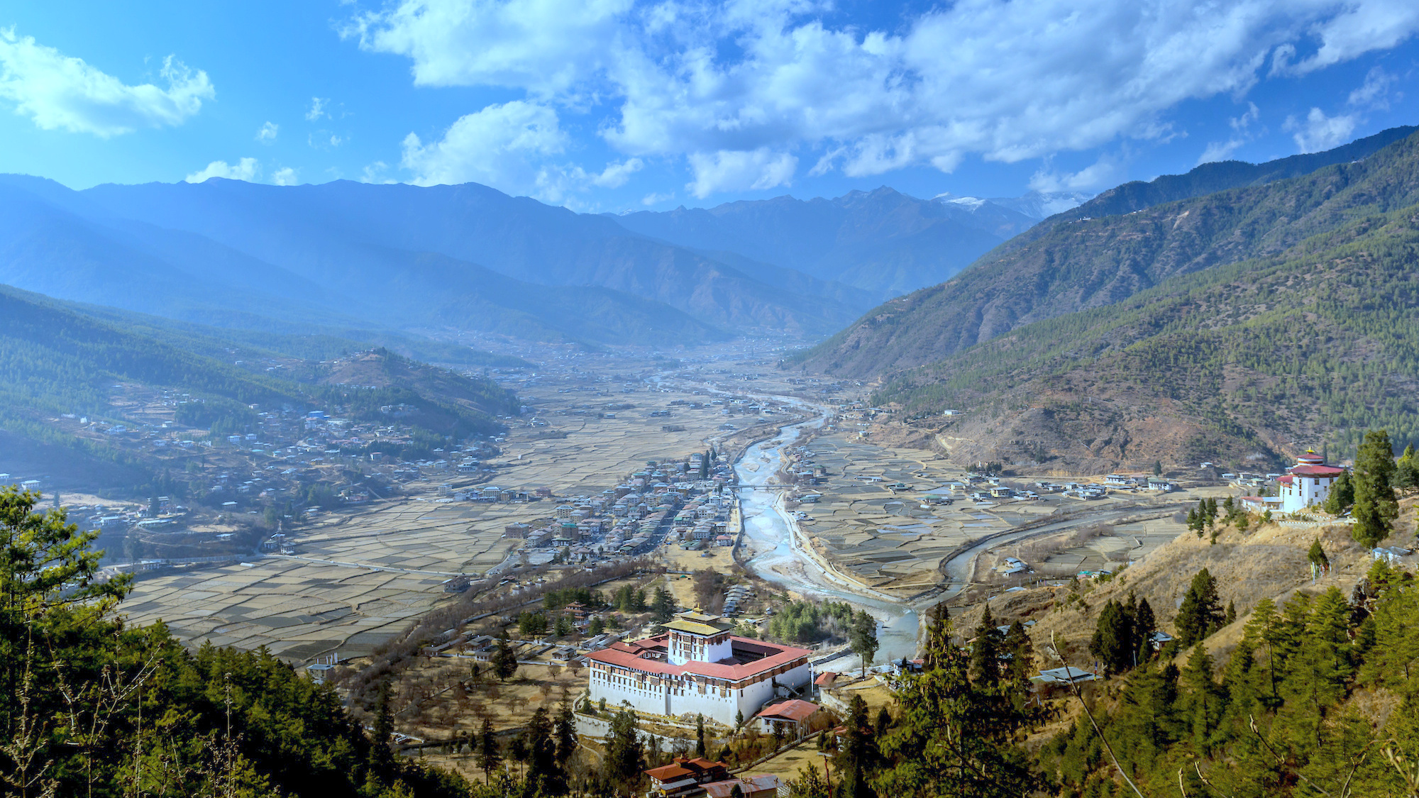 PAro Town