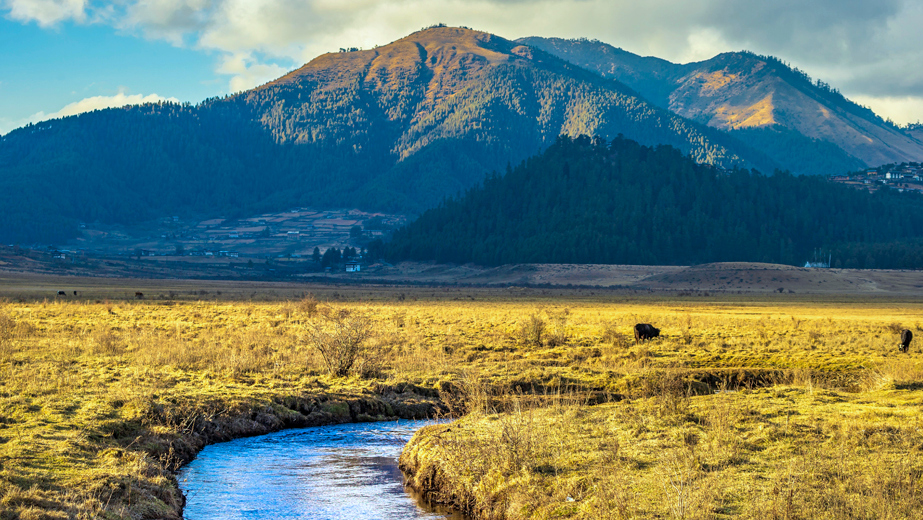 Phobijikha Valley Bhutan Image rsghr