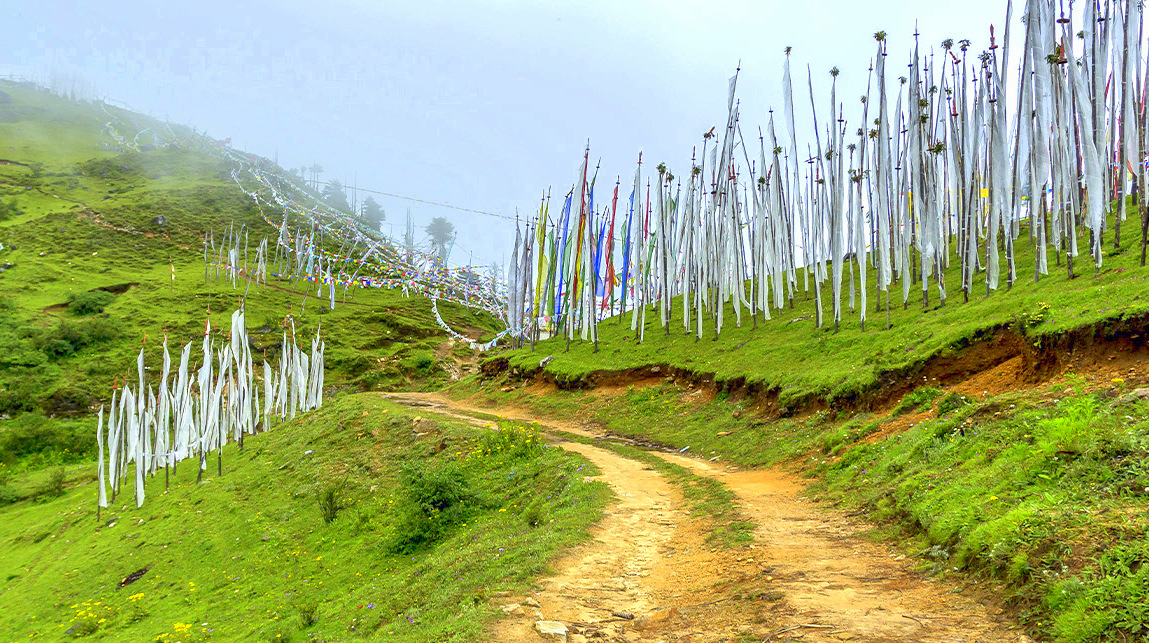 Chele la Trek kod 0