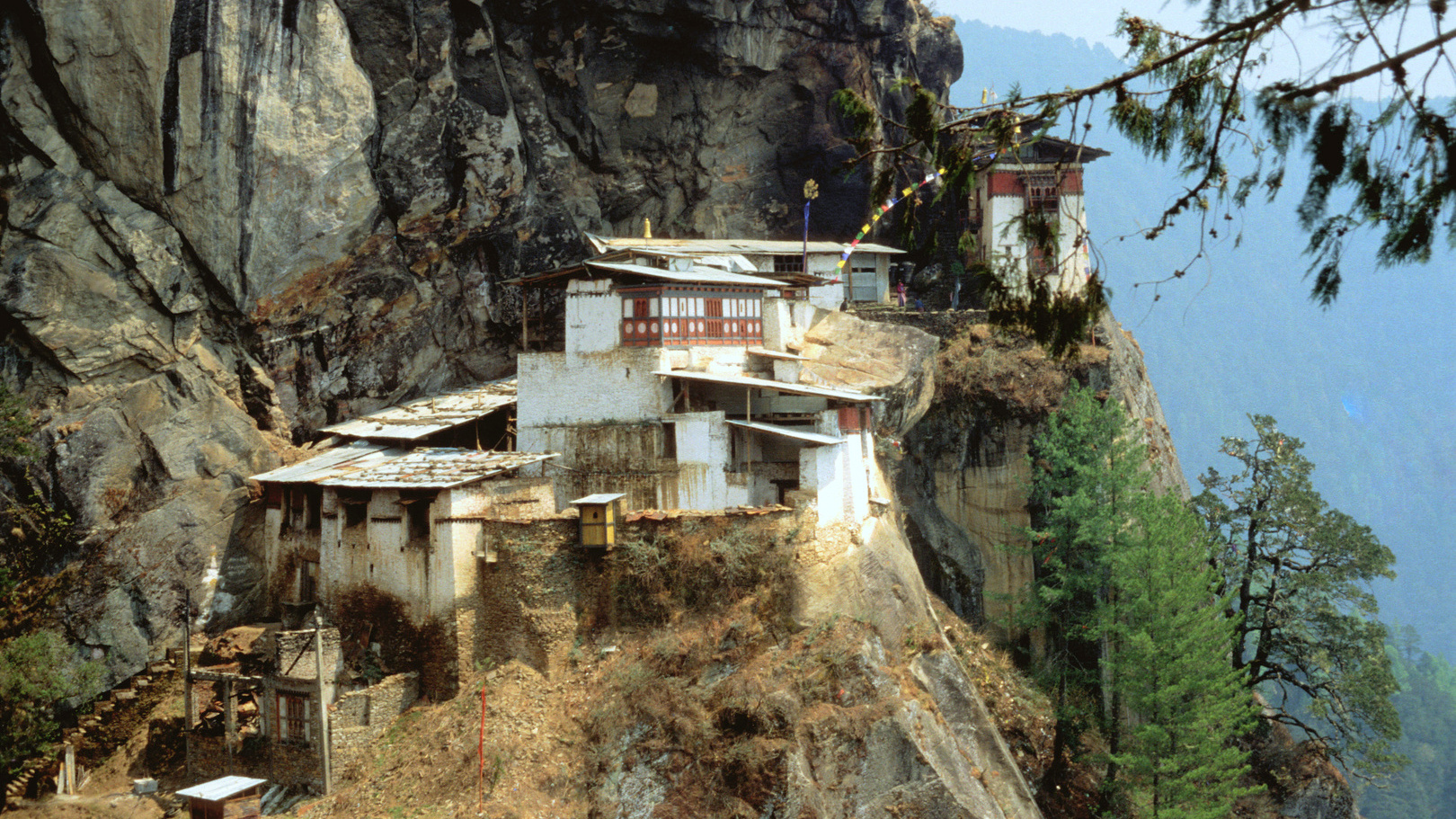 Uiadu